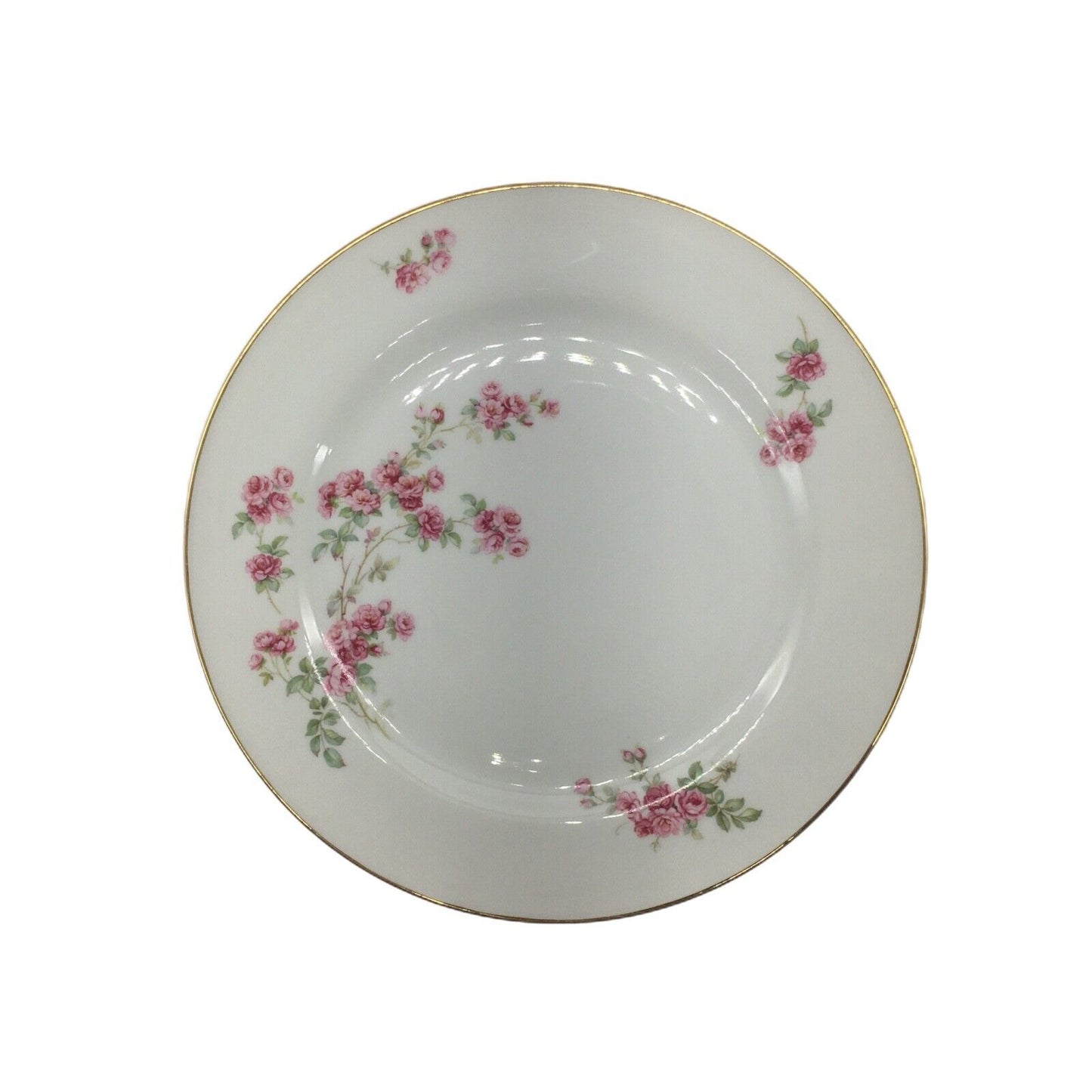 Vintage Dinnerware P.T. Bavaria Tirschenreuth Germany The Trellis 2267 Pink Rose