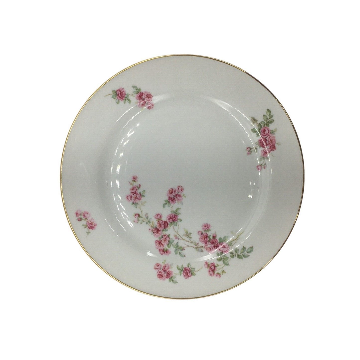Vintage Dinnerware P.T. Bavaria Tirschenreuth Germany The Trellis 2267 Pink Rose