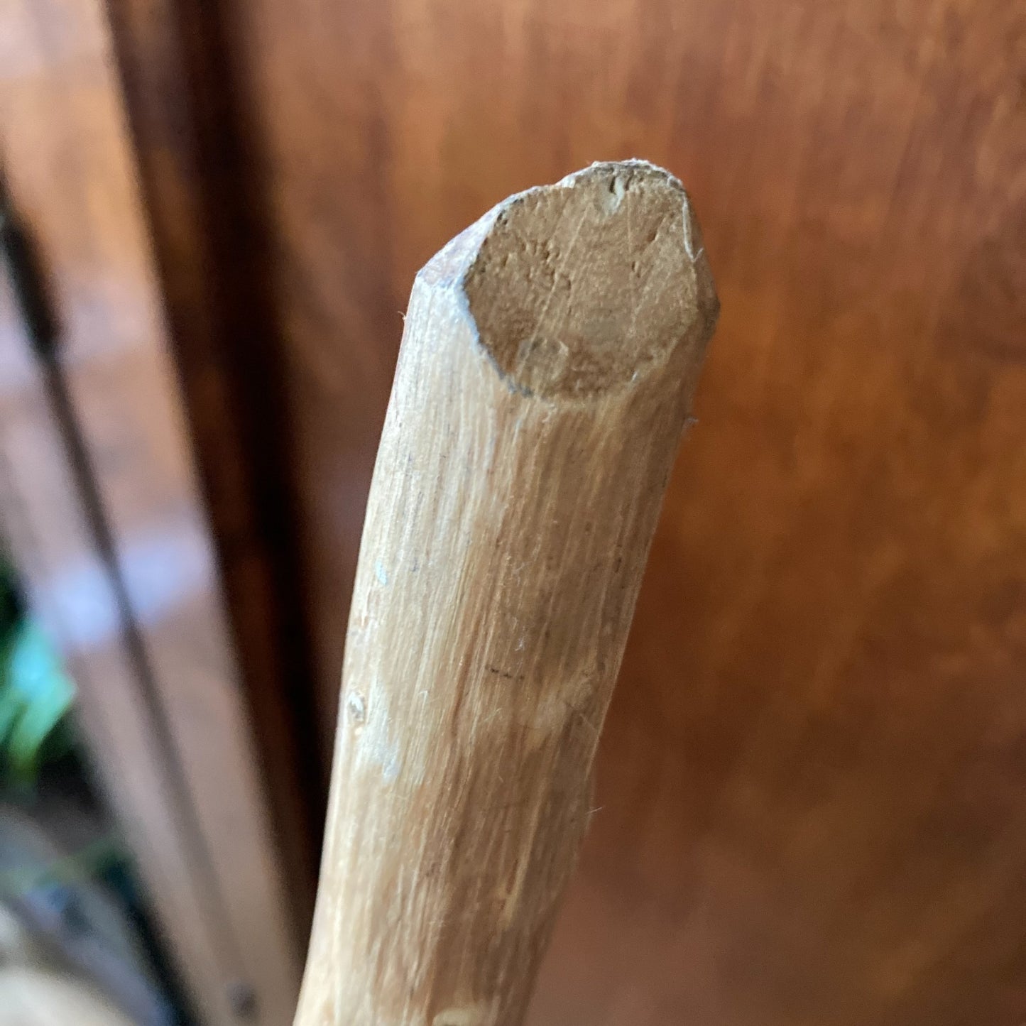 Folk Art Handmade Broom Natural Fiber Bristles Wood Handle Halloween Autumn Home