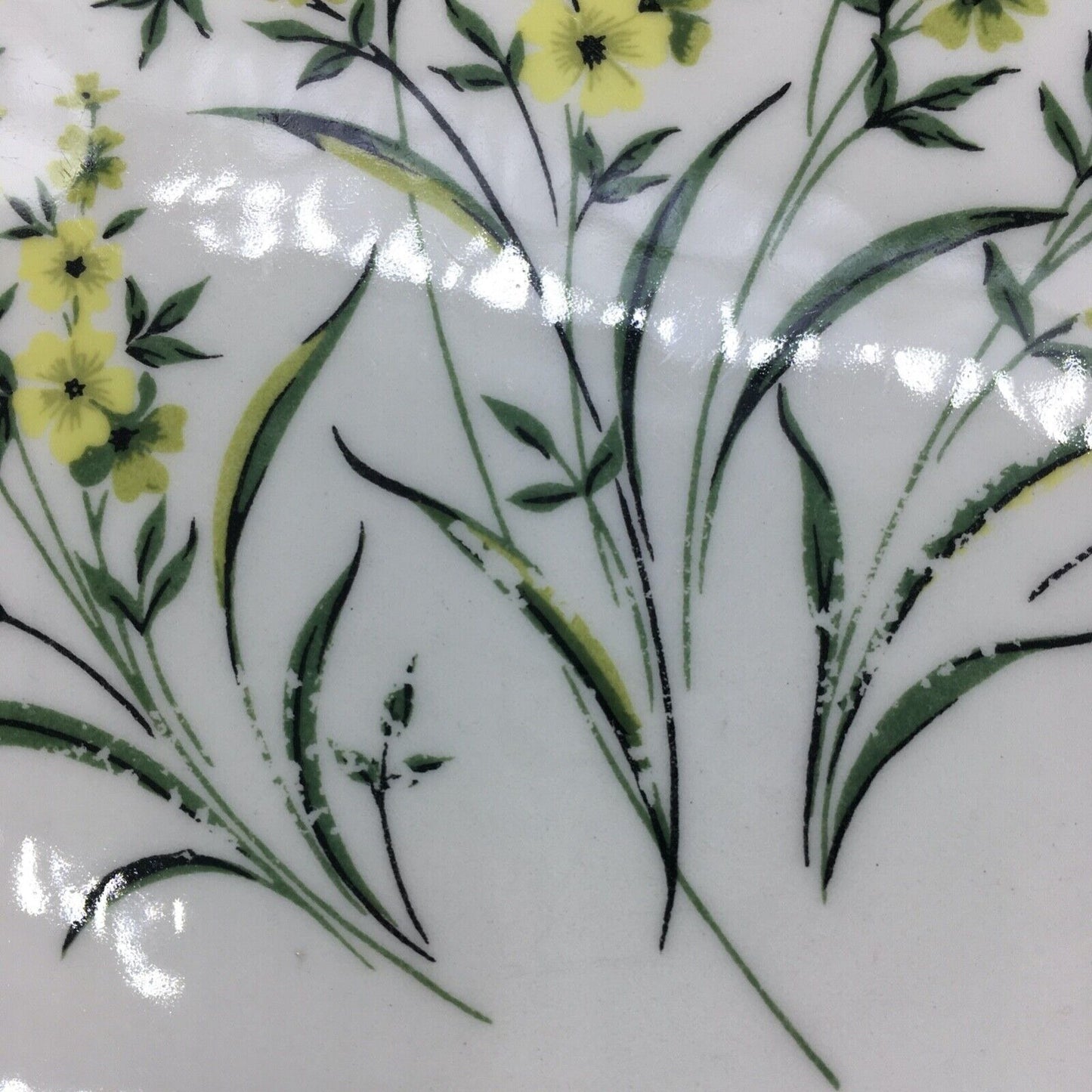 Taylor Smith & Taylor 10" Dinner Plates Set of 5 Lemon Blossom Sage Green Yellow