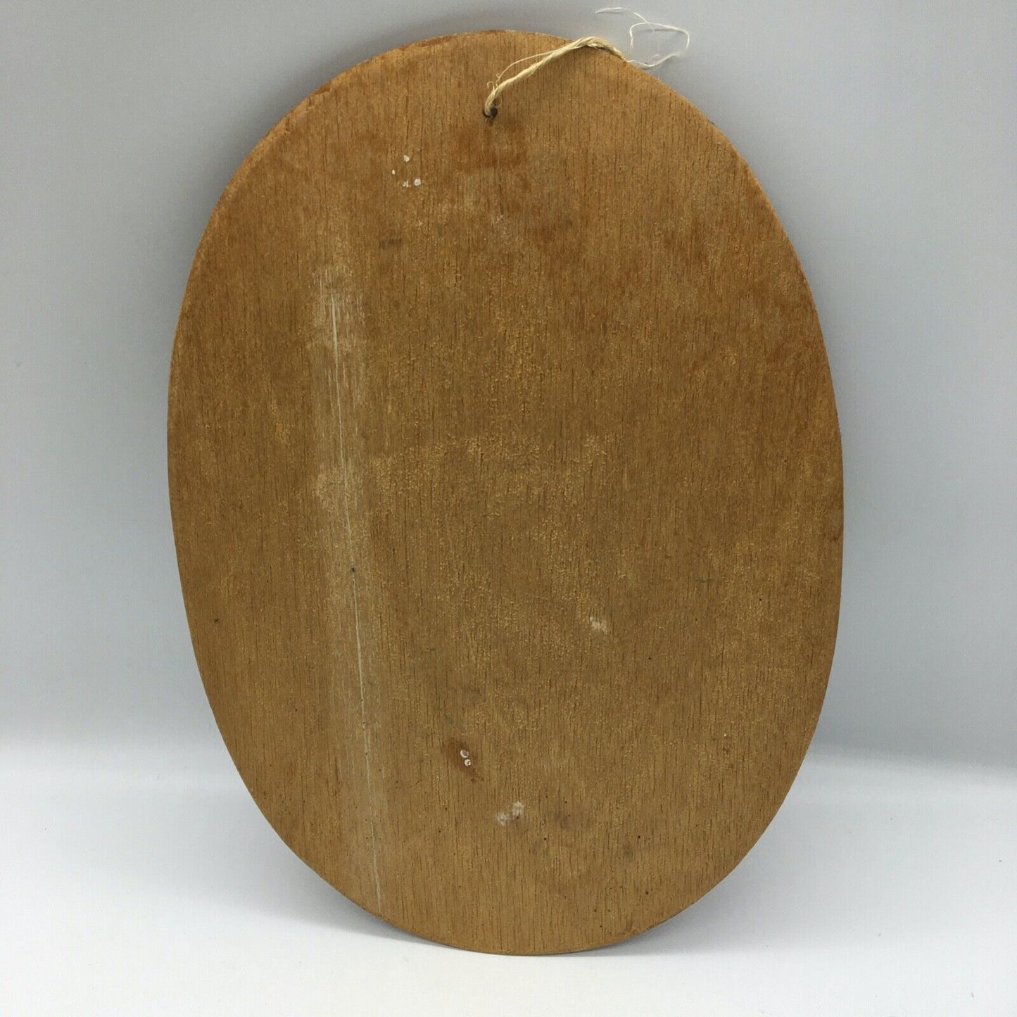 Coconut Shell Art Set 2 Floral 13.5" Oval Wall Hang Tiki Bar Mid Century VTG 70s