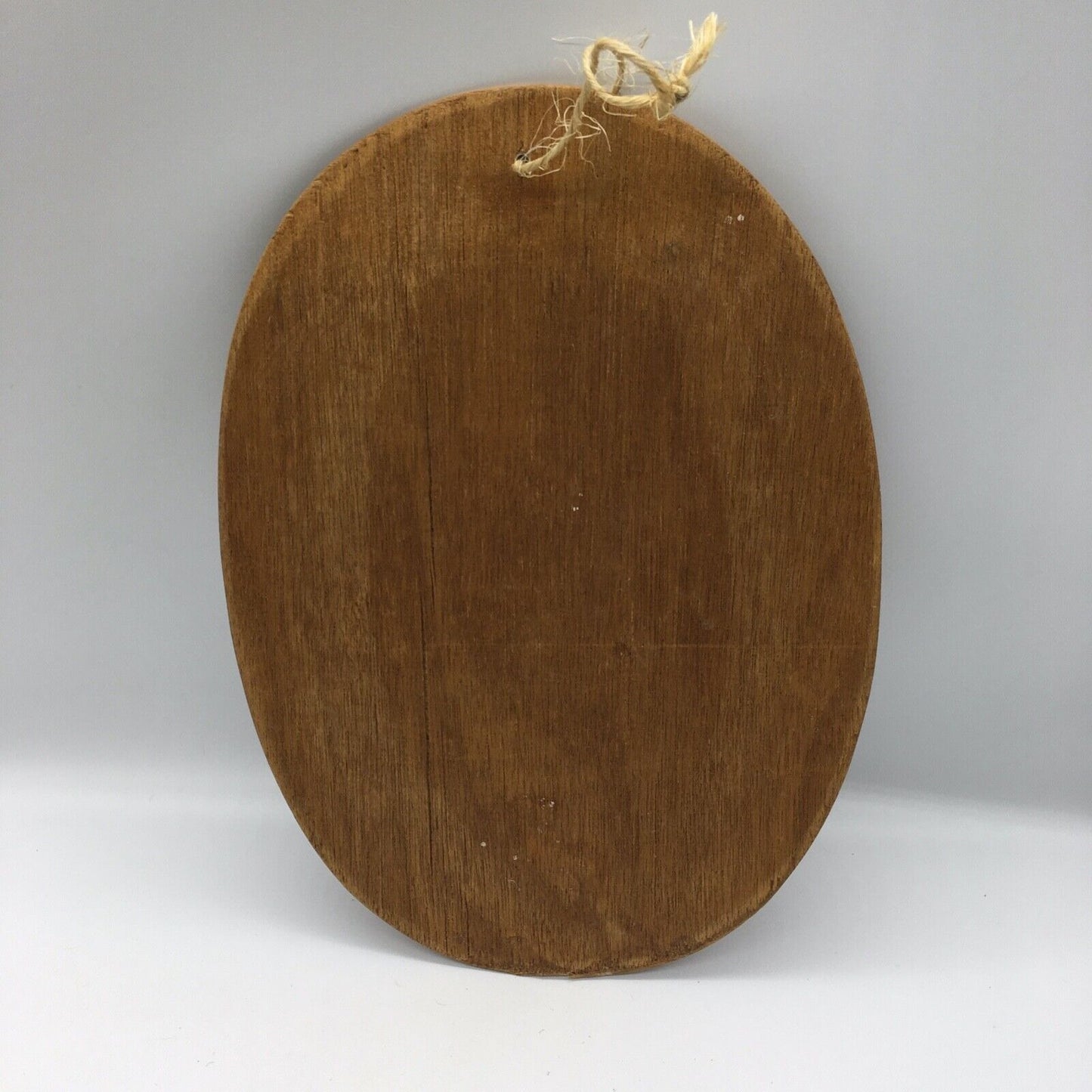 Coconut Shell Art Set 2 Floral 13.5" Oval Wall Hang Tiki Bar Mid Century VTG 70s